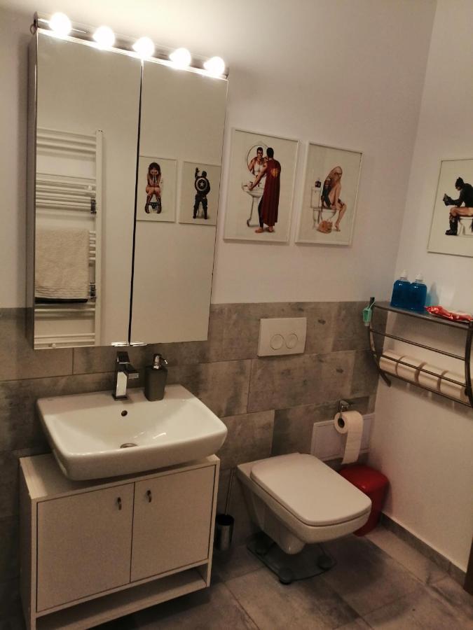 Апартаменты Maurer Loft Тыргу-Муреш Экстерьер фото